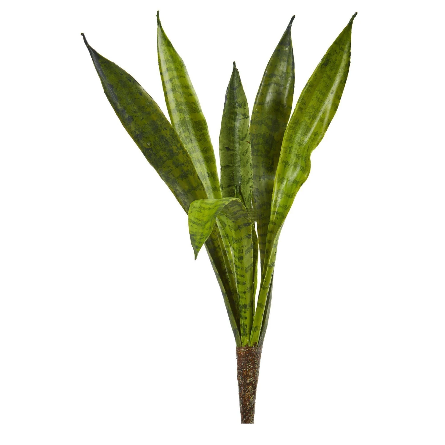 20” Sansevieria Artificial Plant (Set Of 6) 1 20” Sansevieria Artificial Plant (Set Of 6)