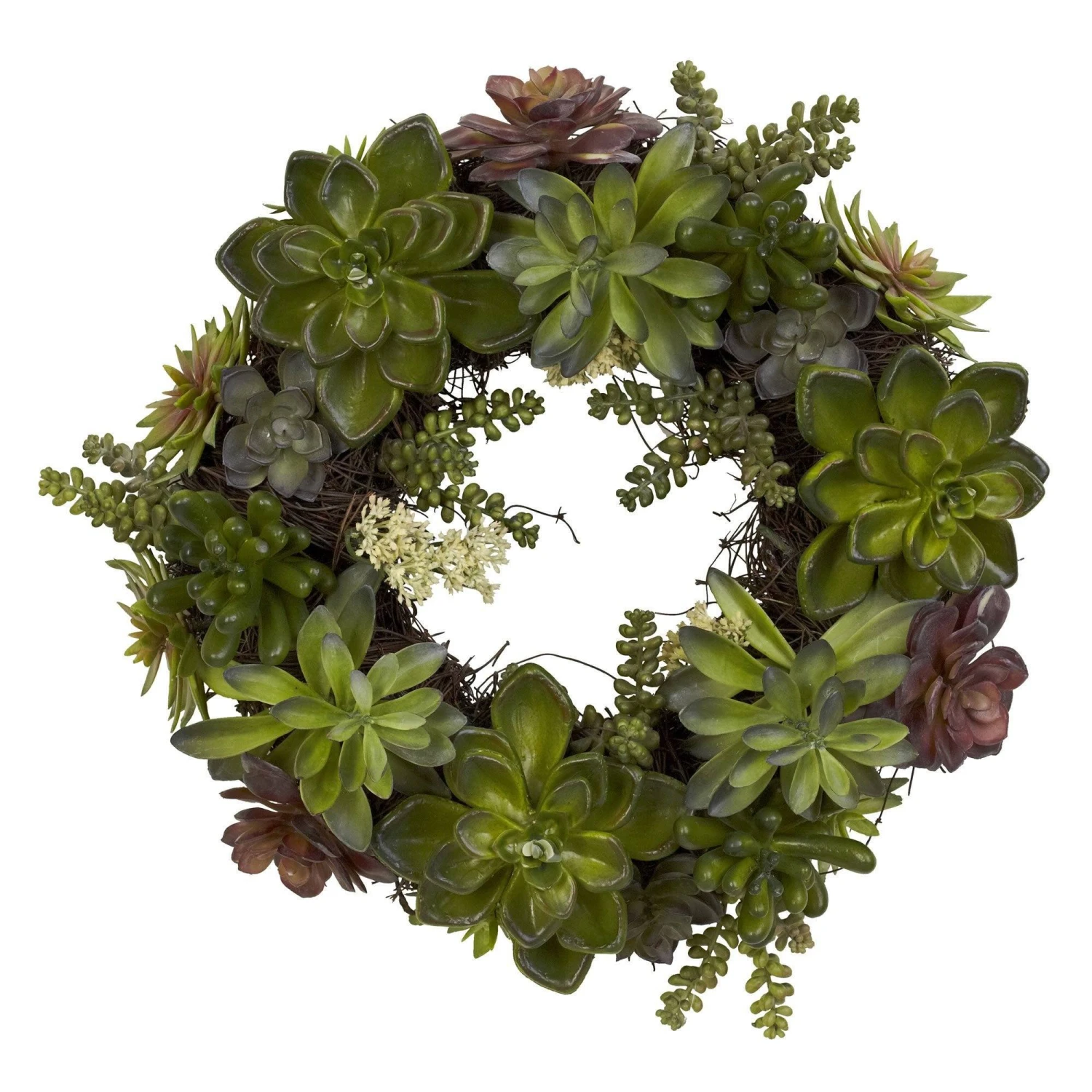 20" Succulent Wreath" 1 20" Succulent Wreath"