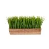 20” Vanilla Grass Artificial Plant In Decorative Planter