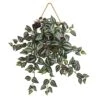 20” Wandering Jew Artificial Plant In Decorative Hanging Frame