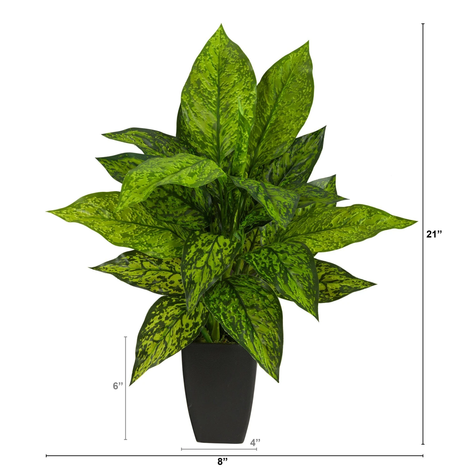 21” Dieffenbachia Artificial Plant In Black Planter 2 21” Dieffenbachia Artificial Plant In Black Planter - Image 2
