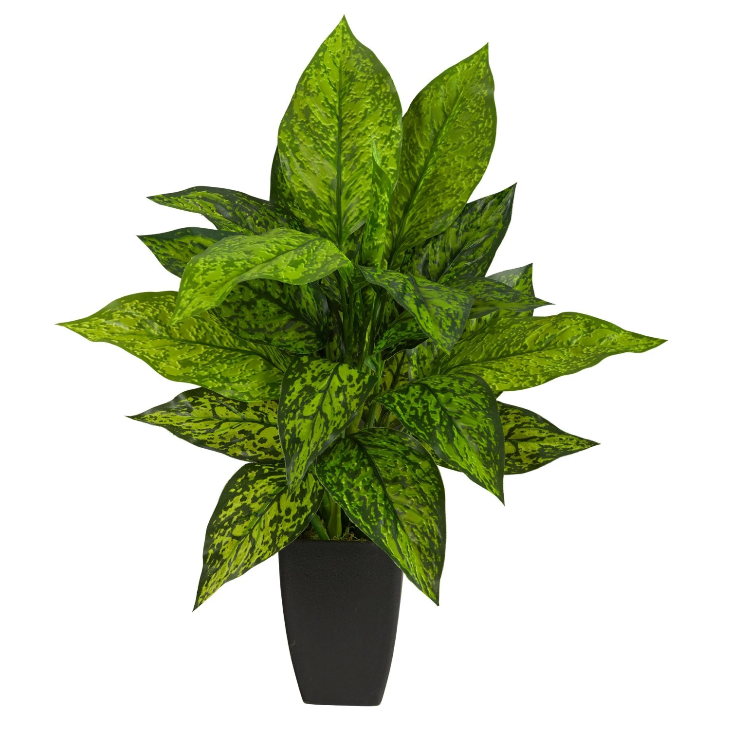 21” Dieffenbachia Artificial Plant In Black Planter 1 21” Dieffenbachia Artificial Plant In Black Planter