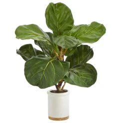 21” Fiddle Leaf Artificial Tree In White Ceramic Planter