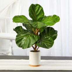 21” Fiddle Leaf Artificial Tree In White Ceramic Planter -Artificial Trees Store artificial 21 fiddle leaf artificial tree in white ceramic planter nearly natural 516451