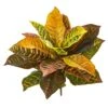 21” Garden Croton Artificial Plant (Real Touch) (Set Of 4)