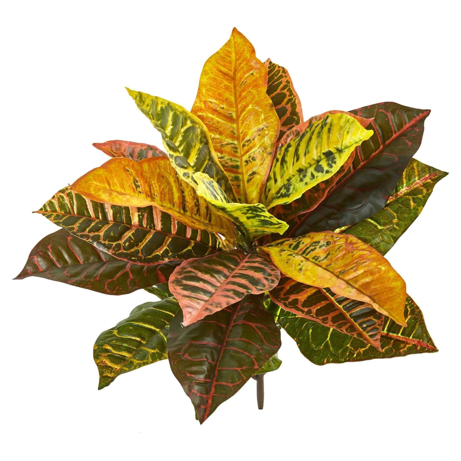 21” Garden Croton Artificial Plant (Real Touch) (Set Of 4) 1 21” Garden Croton Artificial Plant (Real Touch) (Set Of 4)
