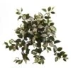 21” Hoya Hanging Bush (Set Of 4)
