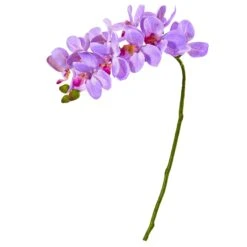 21” Artificial Phalaenopsis Orchid Flower (Set Of 6) -Artificial Trees Store artificial 21 phalaenopsis orchid artificial flower set of 6 nearly natural purple 454990