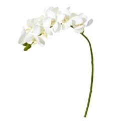 21” Artificial Phalaenopsis Orchid Flower (Set Of 6) -Artificial Trees Store artificial 21 phalaenopsis orchid artificial flower set of 6 nearly natural white 148310