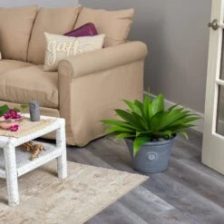 22” Agave Succulent Artificial Plant In Gray Planter 7 22” Agave Succulent Artificial Plant In Gray Planter -Artificial Trees Store artificial 22 agave succulent artificial plant in gray planter nearly natural 290909