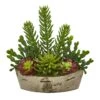 22” Echeveria And Cactus Succulent Artificial Plant In Decorative Planter