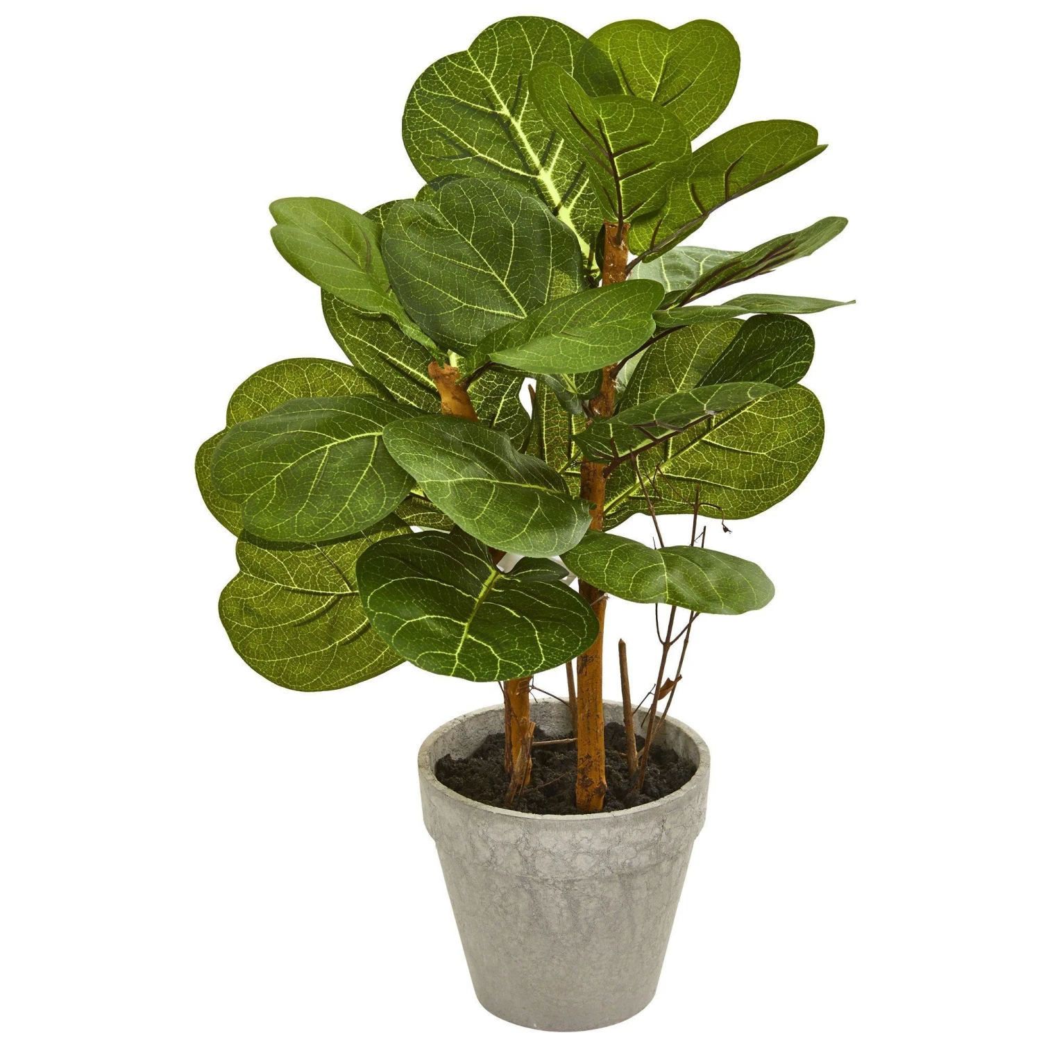 22” Fiddle Leaf Artificial Plant 1 22” Fiddle Leaf Artificial Plant