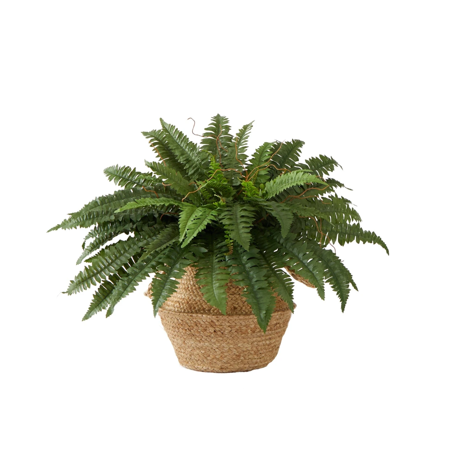 23” ArtificialBoston Fern Plant With Handmade Jute& Cotton Basket DIY KIT 1 23” ArtificialBoston Fern Plant With Handmade Jute& Cotton Basket DIY KIT