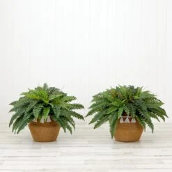 23” Artificial Boston Fern Plant With Handmade Jute & Cotton Basket With Tassels DIY KIT - Set Of 2 -Artificial Trees Store artificial 23 artificial boston fern plant with handmade jute cotton basket with tassels diy kit set of 2 plant in planter nearly natural 903101