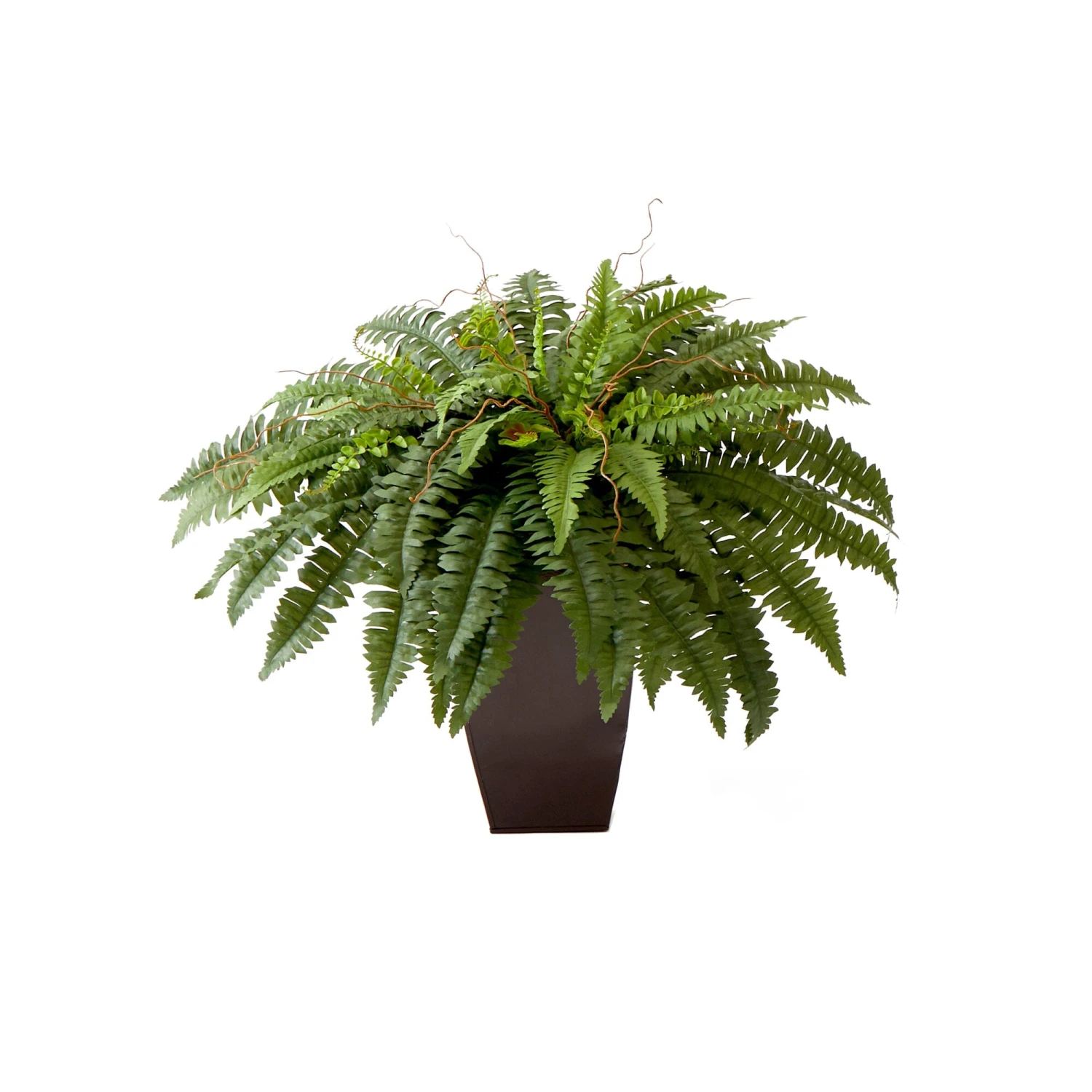 23” Artificial Boston Fern Plant With Tapered Bronze Square Metal Planter DIY KIT 1 23” Artificial Boston Fern Plant With Tapered Bronze Square Metal Planter DIY KIT
