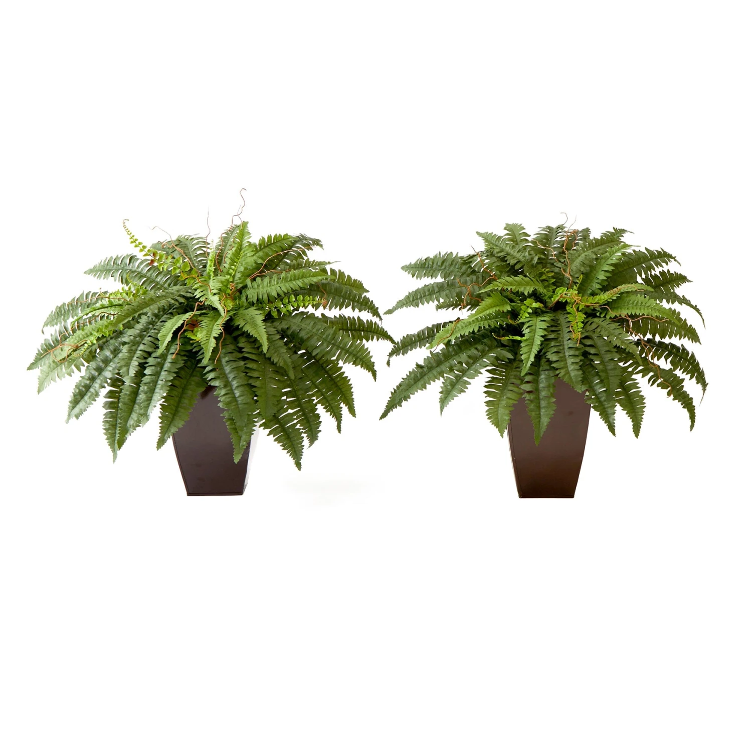 23” Artificial Boston Fern Plant With Tapered Bronze Square Metal Planter DIY KIT - Set Of 2 1 23” Artificial Boston Fern Plant With Tapered Bronze Square Metal Planter DIY KIT - Set Of 2