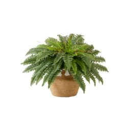 23”Artificial Boston Fern Plant In HandmadeJute & Cotton Basket With Tassels DIY KIT