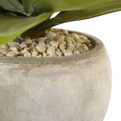 24" Agave In Sand Colored Bowl" -Artificial Trees Store artificial 24 agave in sand colored bowl nearly natural 221388