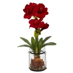24” Amaryllis W/Vase