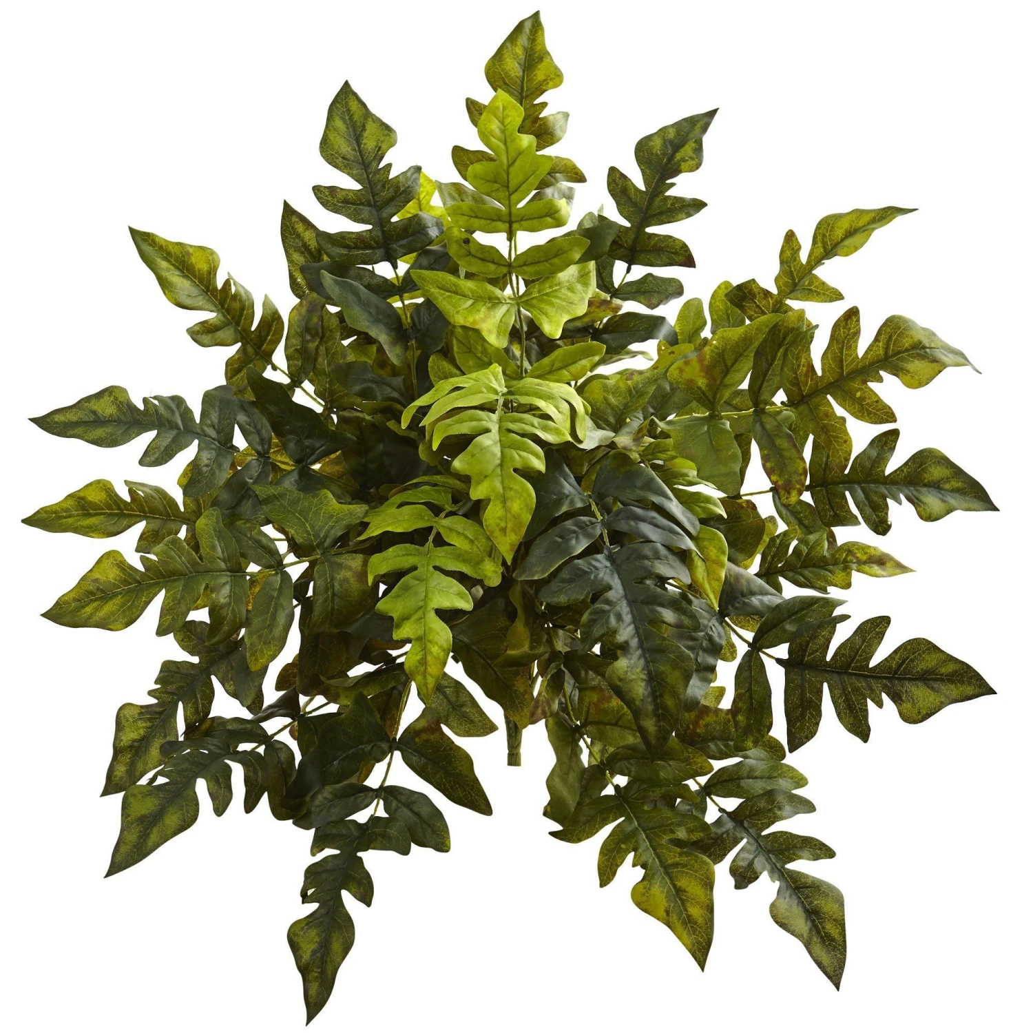 24” Holly Fern Artificial Plant (Set Of 2) 1 24” Holly Fern Artificial Plant (Set Of 2)