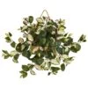 24” Hoya Artificial Plant In Decorative Hanging Frame