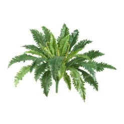 24” Marginatum Artificial Plant (Set Of 3)