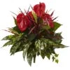 24” Mixed Anthurium Bush (Set Of 2)