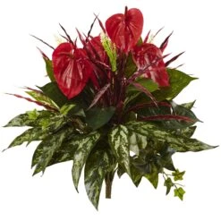 24” Mixed Anthurium Bush (Set Of 2)