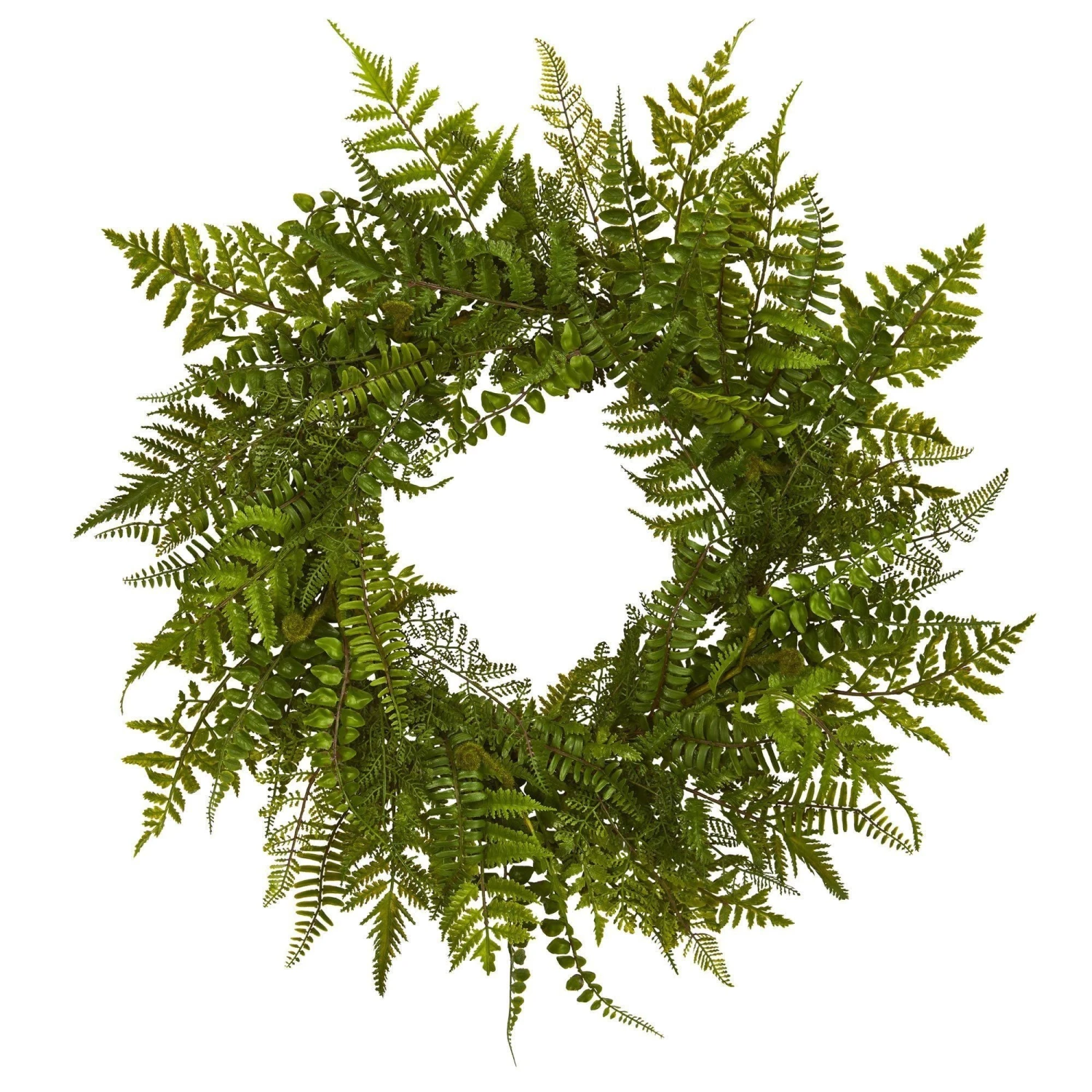 24” Mixed Fern Wreath 1 24” Mixed Fern Wreath