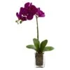 20” Orchid Phalaenopsis In Vase