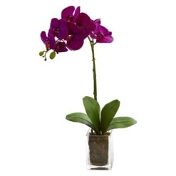 20” Orchid Phalaenopsis In Vase