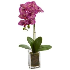 20” Orchid Phalaenopsis In Vase -Artificial Trees Store artificial 24 orchid phalaenopsis artificial arrangement in vase nearly natural purple cream 962020