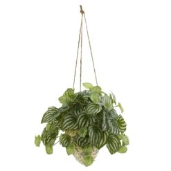 24” Watermelon Peperomia Artificial Plant In Hanging Vase (Real Touch)