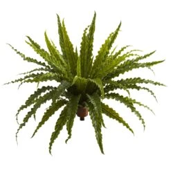 26” Asplenium Artificial Plant (Set Of 2)