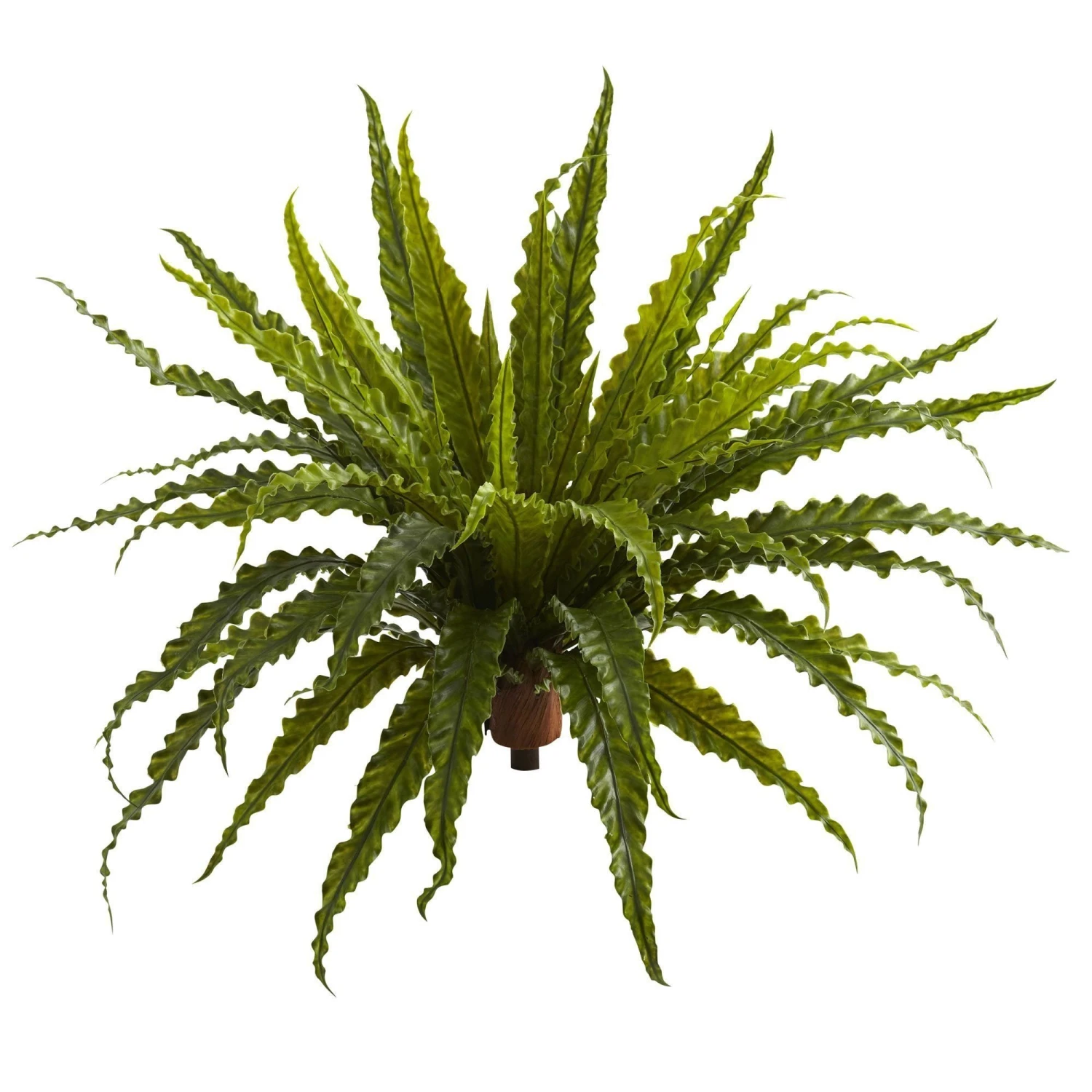 26” Asplenium Artificial Plant (Set Of 2) 1 26” Asplenium Artificial Plant (Set Of 2)
