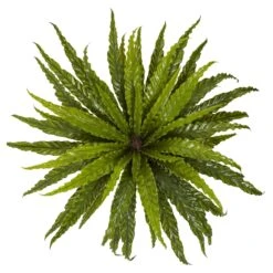 26” Asplenium Artificial Plant (Set Of 2) 5 26” Asplenium Artificial Plant (Set Of 2) -Artificial Trees Store artificial 26 asplenium artificial plant set of 2 nearly natural 348485
