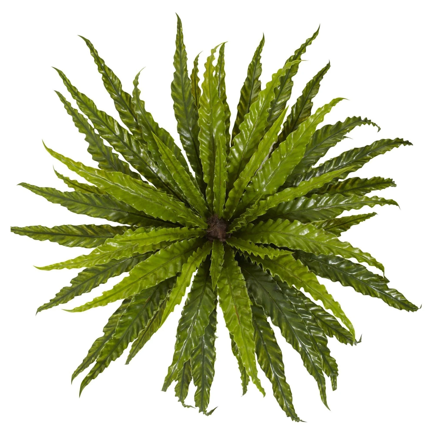 26” Asplenium Artificial Plant (Set Of 2) 3 26” Asplenium Artificial Plant (Set Of 2) - Image 3