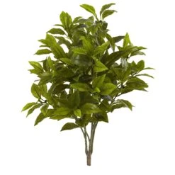 26” Coffee Leaf Artificial Plant (Set Of 2) (Real Touch)