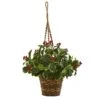 26” Variegated Holly Artificial Plant In Hanging Basket (Real Touch)