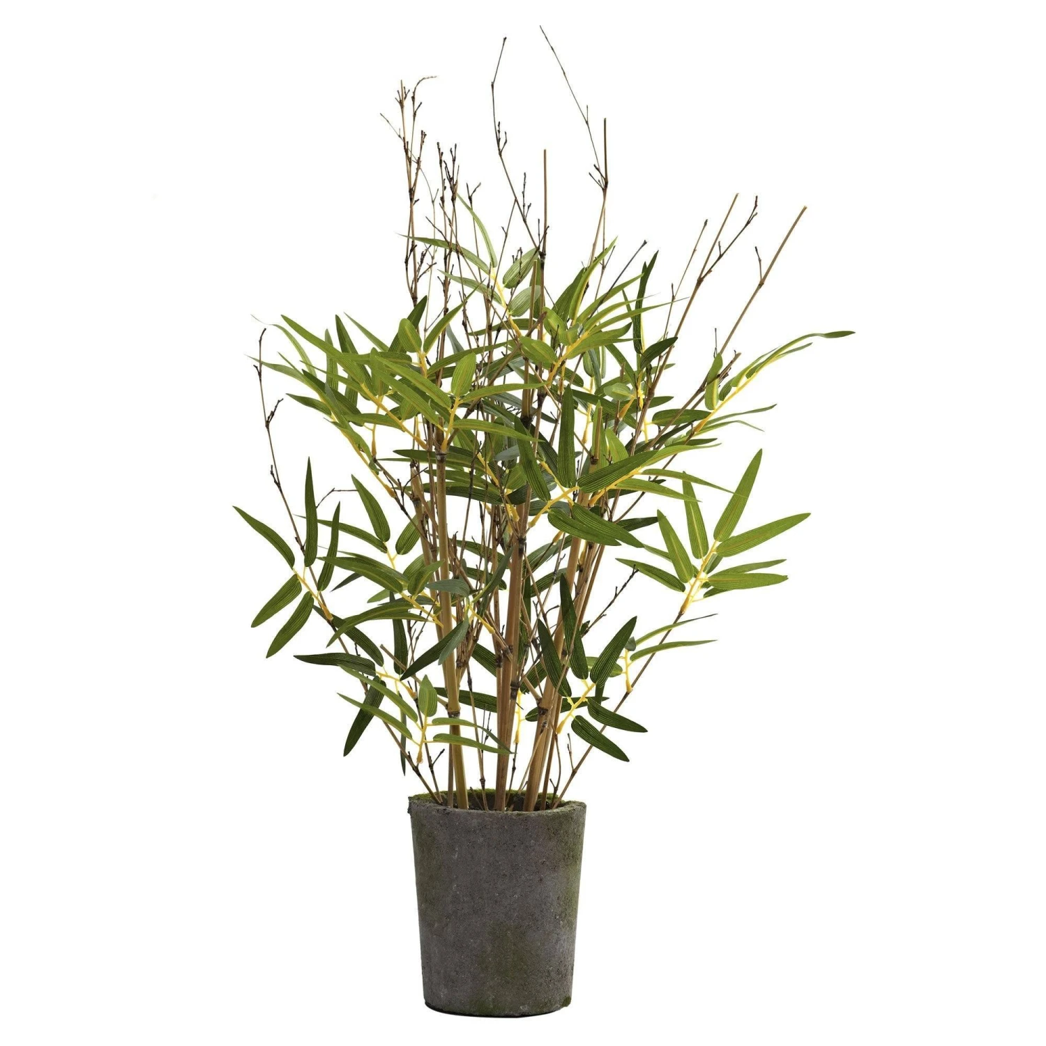 27” Bamboo Tree W/Cement Pot 1 27” Bamboo Tree W/Cement Pot