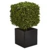 27” Boxwood Artificial Plant In Black Planter (indoor/Outdoor)
