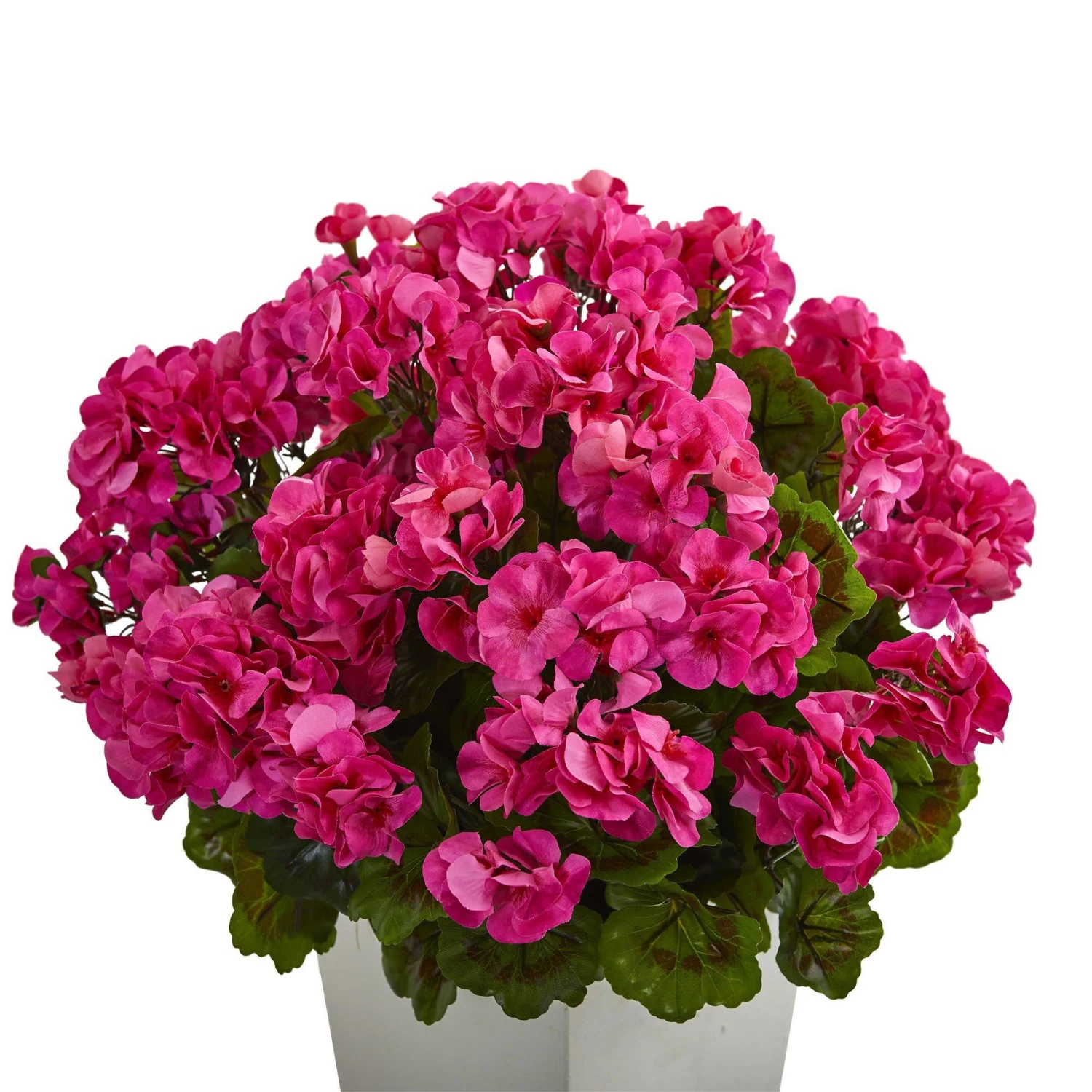27” Geranium Artificial Plant In White Planter UV Resistant (Indoor/Outdoor) 2 27” Geranium Artificial Plant In White Planter UV Resistant (Indoor/Outdoor) - Image 2