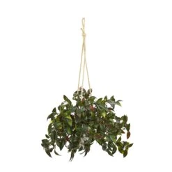 27” Mini Melon Artificial Plant In Hanging Bucket UV Resistant (Indoor/Outdoor) (Set Of 2) 5 27” Mini Melon Artificial Plant In Hanging Bucket UV Resistant (Indoor/Outdoor) (Set Of 2) -Artificial Trees Store artificial 27 mini melon artificial plant in hanging bucket uv resistant indooroutdoor set of 2 nearly natural 352676