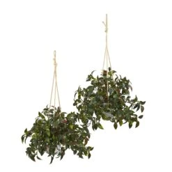 27” Mini Melon Artificial Plant In Hanging Bucket UV Resistant (Indoor/Outdoor) (Set Of 2)