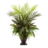 27” Mixed Areca Palm, Fern & Peacock W/Planter