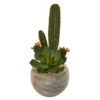 27” Mixed Succulent Artificial Plant In Sand Colored Planter