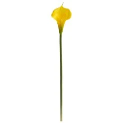 28” Calla Lily Artificial Flower (Set Of 12) -Artificial Trees Store artificial 28 calla lily artificial flower set of 12 nearly natural yellow 258033