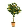 28” Lemon Artificial Tree In Decorative Planter