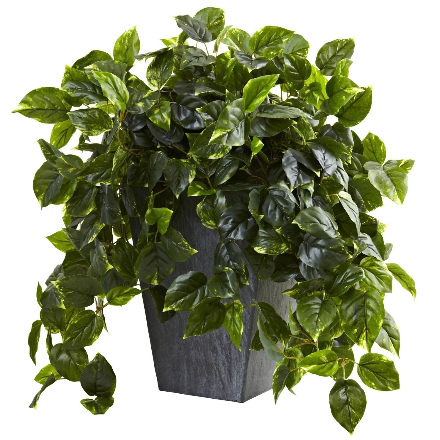 29" Artificial Pothos In Slate Planter UV Resistant (Indoor/Outdoor)" 1 29" Artificial Pothos In Slate Planter UV Resistant (Indoor/Outdoor)"