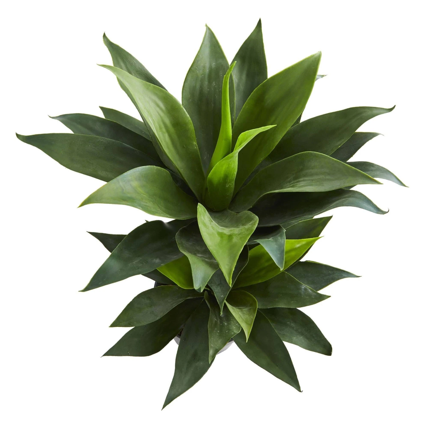 29” Double Agave Succulent Artificial Plant 3 29” Double Agave Succulent Artificial Plant - Image 3